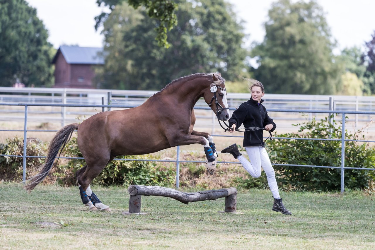 Bild 8 - Pony Akademie Turnier